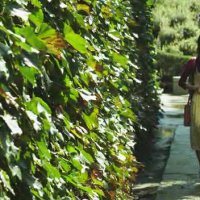 Дождь любви_8