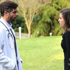 Un camino hacia el destino_13