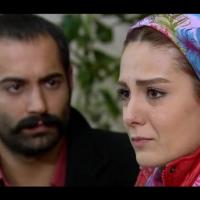 Детектив Мемоли / Dedektif Memoli_9