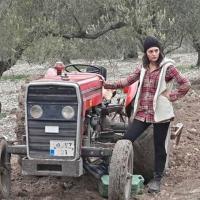 Оливковая вершина _2