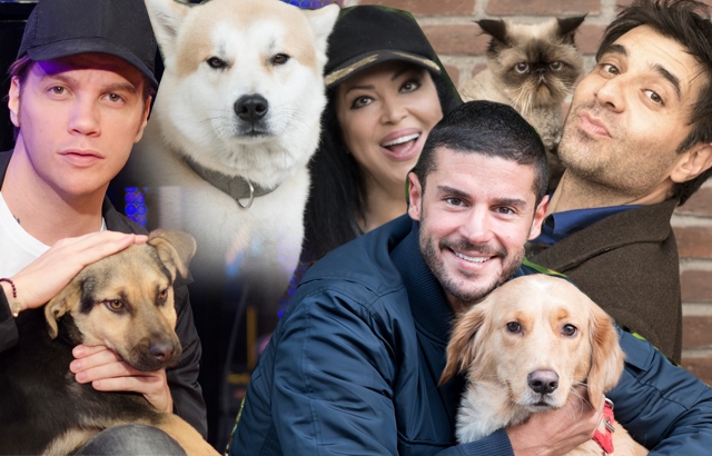 Турецкие актеры со своими животными