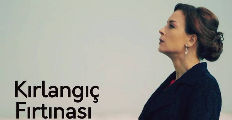 Шторм ласточки турецкий сериал